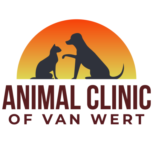 Best Vet In Van Wert, OH 45891 | Animal Clinic Of Van Wert